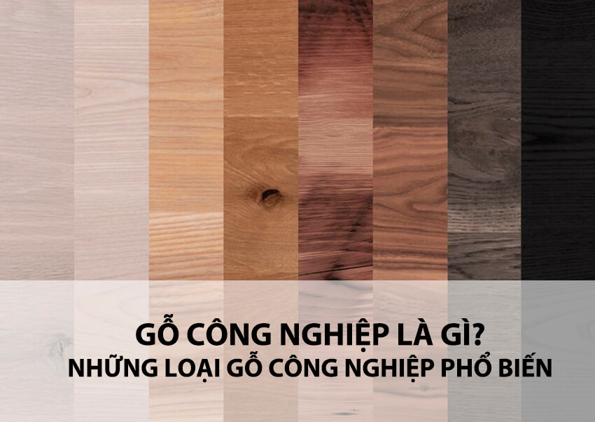 Cẩm nang từ A đến Z về gỗ công nghiệp: Hiểu rõ hơn về các loại gỗ công nghiệp MDF, MFC và HDF