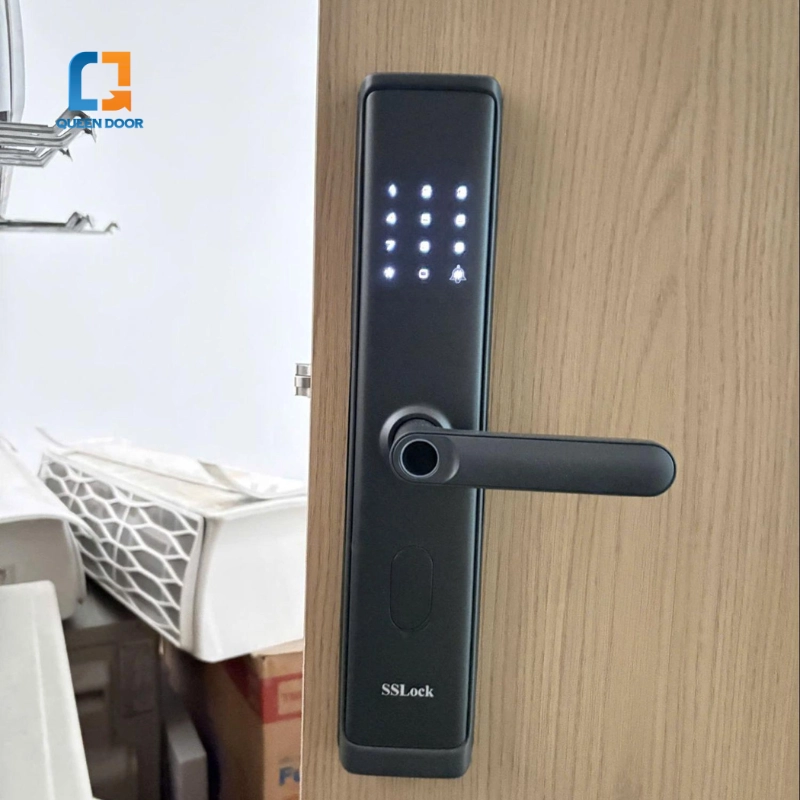 Khóa vân tay cửa chính QD-B801 cho khách sạn, homestay