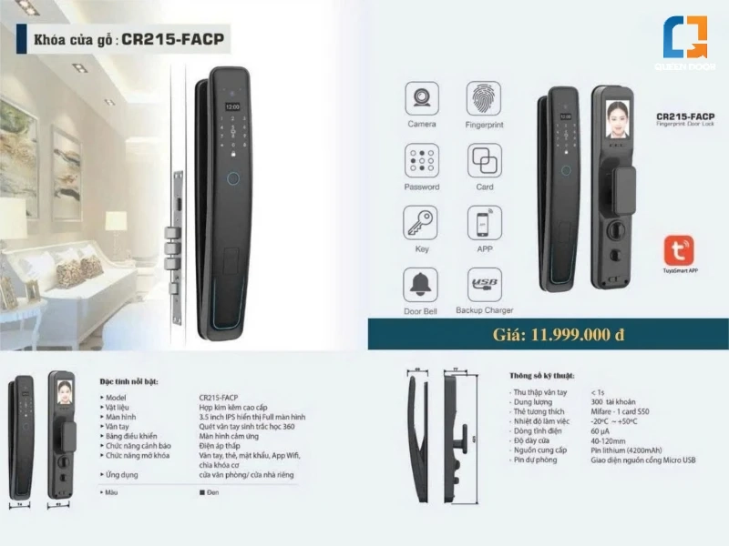 Khóa cửa đại sảnh Queen Door phù hợp với không gian và loại cửa nào?